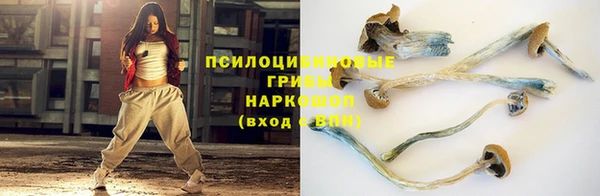 PSILOCYBIN Балабаново