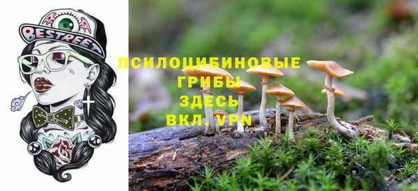 спайс Баксан