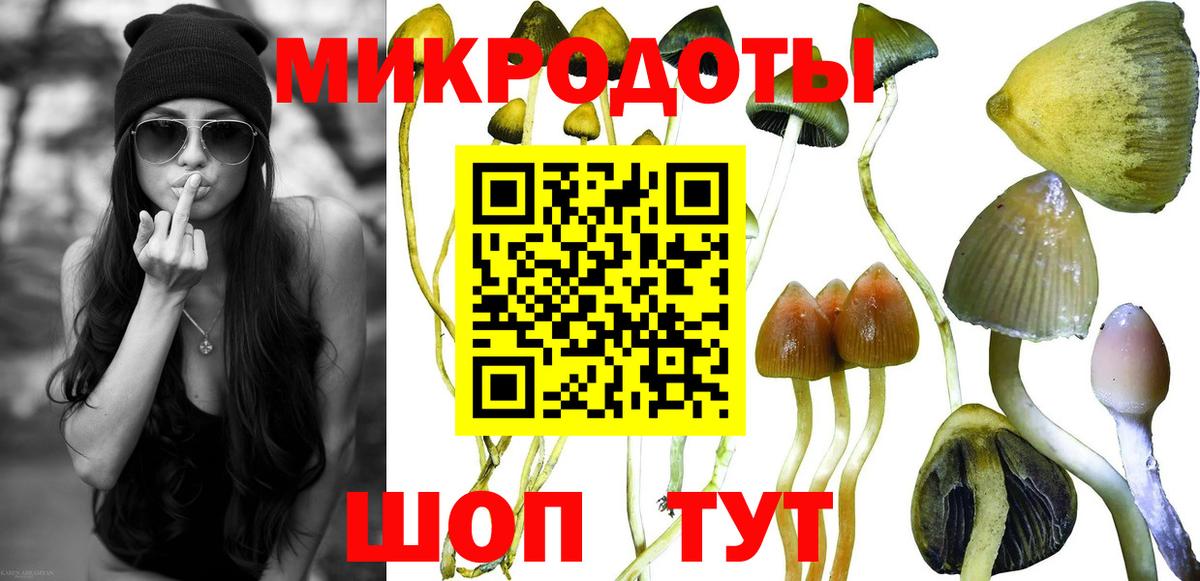 Псилоцибиновые грибы ЛСД  дарнет шоп  Верхняя Пышма  Вход с VPN 